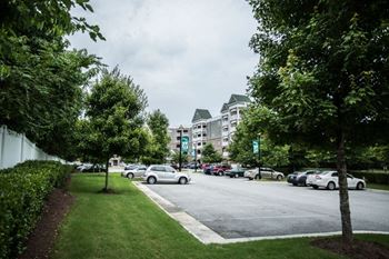 A tree stands on a sidewalk in front of a parking lot.